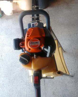 Tosasiepe oleo mac