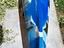 Immagine 6