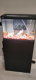 Acquario 70 litri