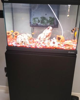 Acquario 70 litri