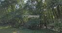 terreno-boschivo-di-8-660-mq-con-doppio-accesso-
