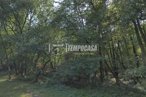 Terreno Boschivo di 8.660 mq con Doppio Accesso -