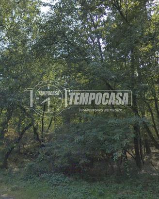 Terreno Boschivo di 8.660 mq con Doppio Accesso -