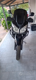 V Strom DL 650