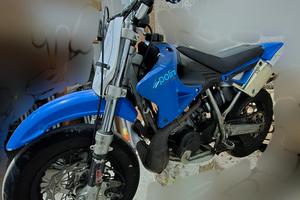 Polini Minimotard