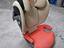 Immagine 1