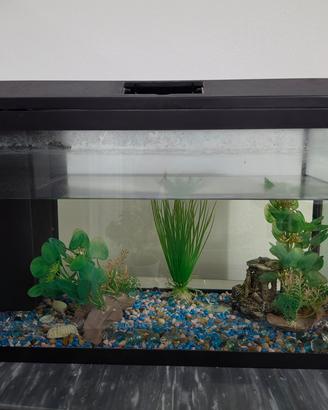 acquario  Genius 40