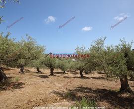 Terreno, Termini Imerese.