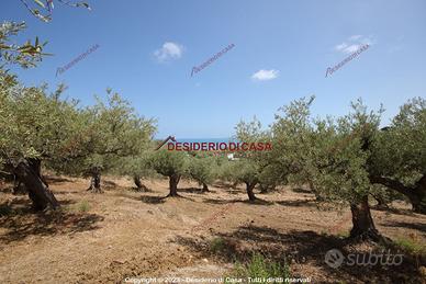 Terreno, Termini Imerese.