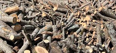 legna da ardere 