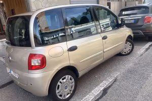Multipla 2010
