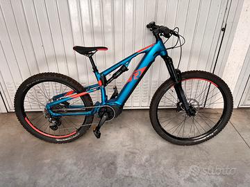Ebike raymon