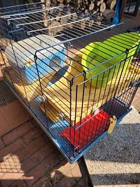 Gabbia per conigli-porcellini d'india-criceti