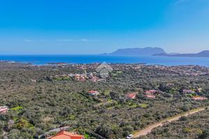 TER. AGRICOLO A OLBIA