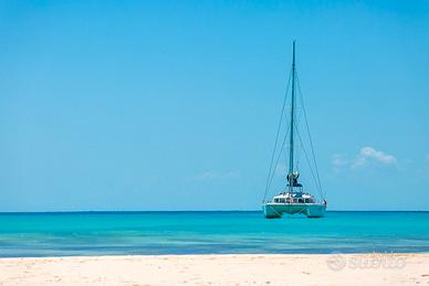 Palau 15 agosto 2026