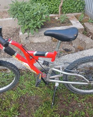 bicicletta da bambino.