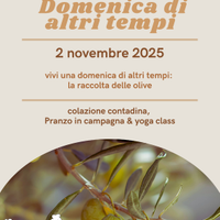 Benessere Autunnale: Raccolta delle Olive, Yoga