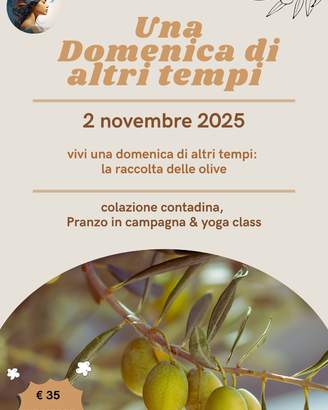Benessere Autunnale: Raccolta delle Olive, Yoga