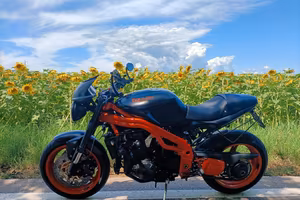 Triumph Speed triple 1050