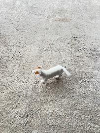 Cuccioli jack russel