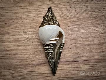 Conchiglia Shankha 