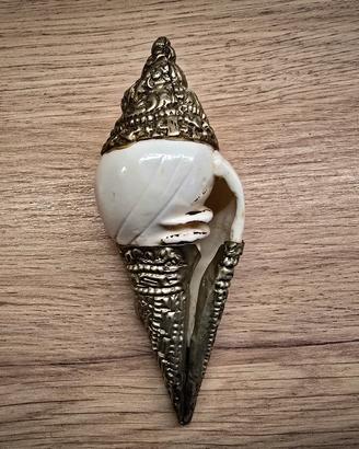 Conchiglia Shankha 