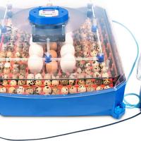 Incubatrice Borotto LUMIA 56 Expert Automatica - C