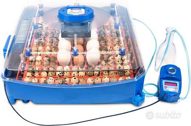 Incubatrice Borotto LUMIA 56 Expert Automatica - C