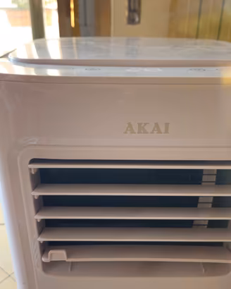 condizionatore portatile