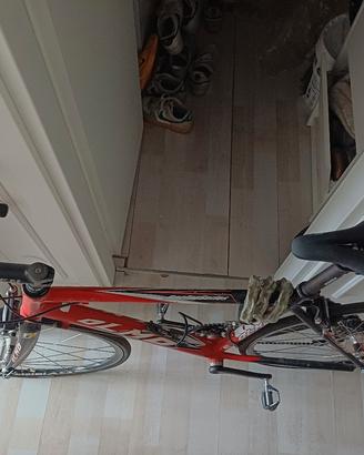bicicletta olmo