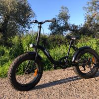 Bicicletta pieghevole Fatbike 6marce