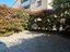Immagine 11