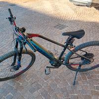 2 Mountain bike elettriche