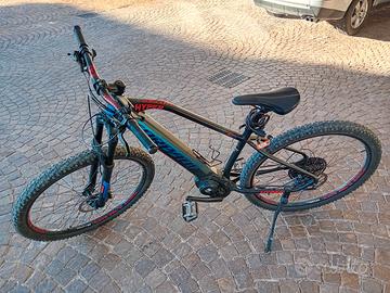 2 Mountain bike elettriche