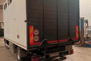 trasporto cavalli 