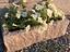 Immagine 26