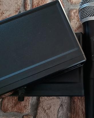 Gemini sistema microfono wireless palmare