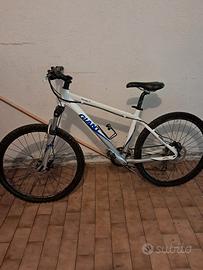 mtb  giant