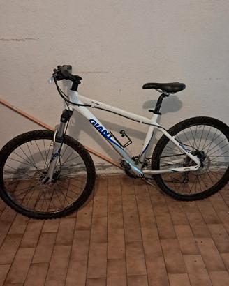 mtb  giant