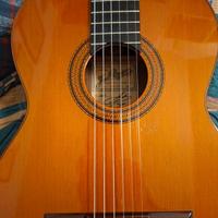 Josè Ramirez Classe 1a 1982 - Cedro rosso