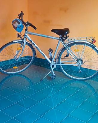 BICICLETTA Bottecchia Uomo