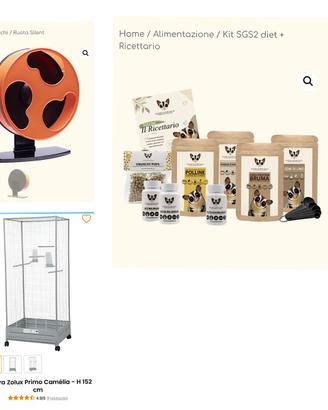Accessori petauro dello zucchero