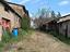 Immagine 14