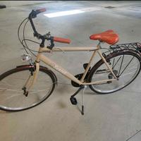 Bicicletta - bici uomo