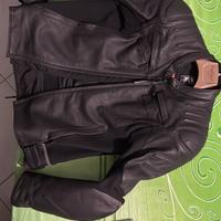 Giacca Alpinestar 54