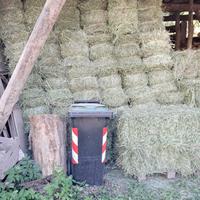 Fieno primo e secondo taglio 2025