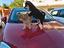Immagine 4