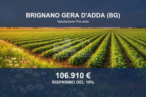 Immobile in asta di 14355 m² a Brignano Gera d'Add