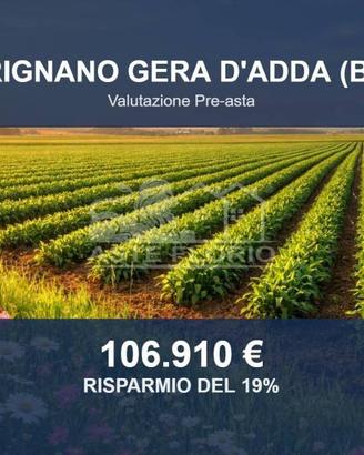 Immobile in asta di 14355 m² a Brignano Gera d'Add