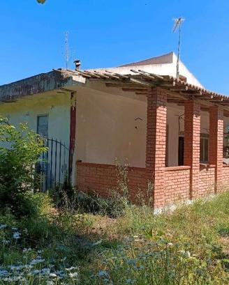 RGE 45/2024 Trib Barcellona PG - LOTTO 1